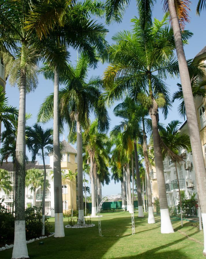 Sandcastles Beach Resort Ocho Rios Buitenkant foto